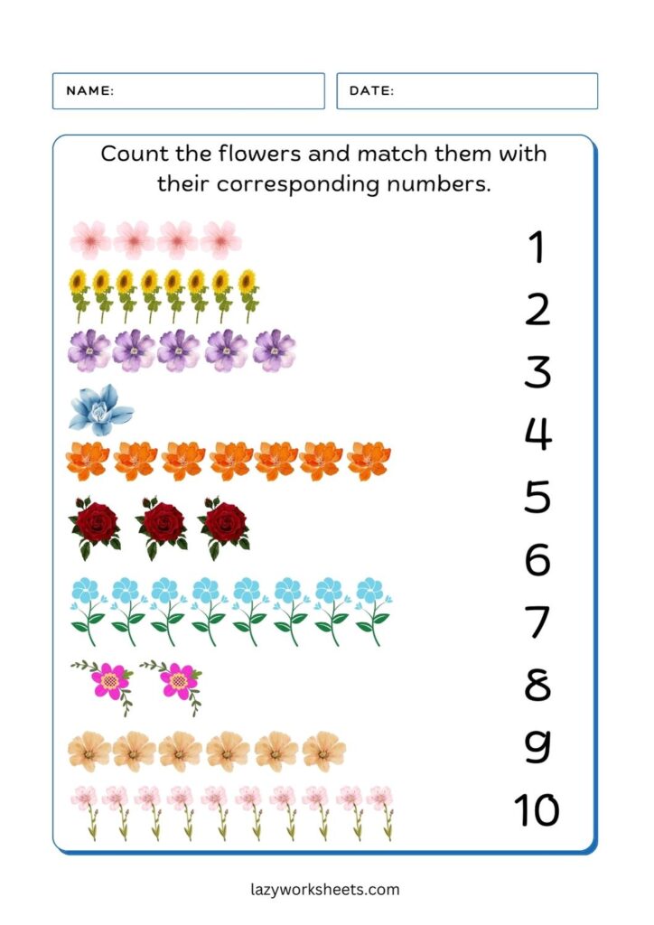 Count the Flowers 2