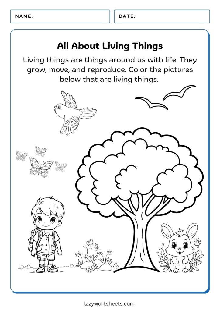 All About Living Things Worksheet 1 - Lazy Worksheets