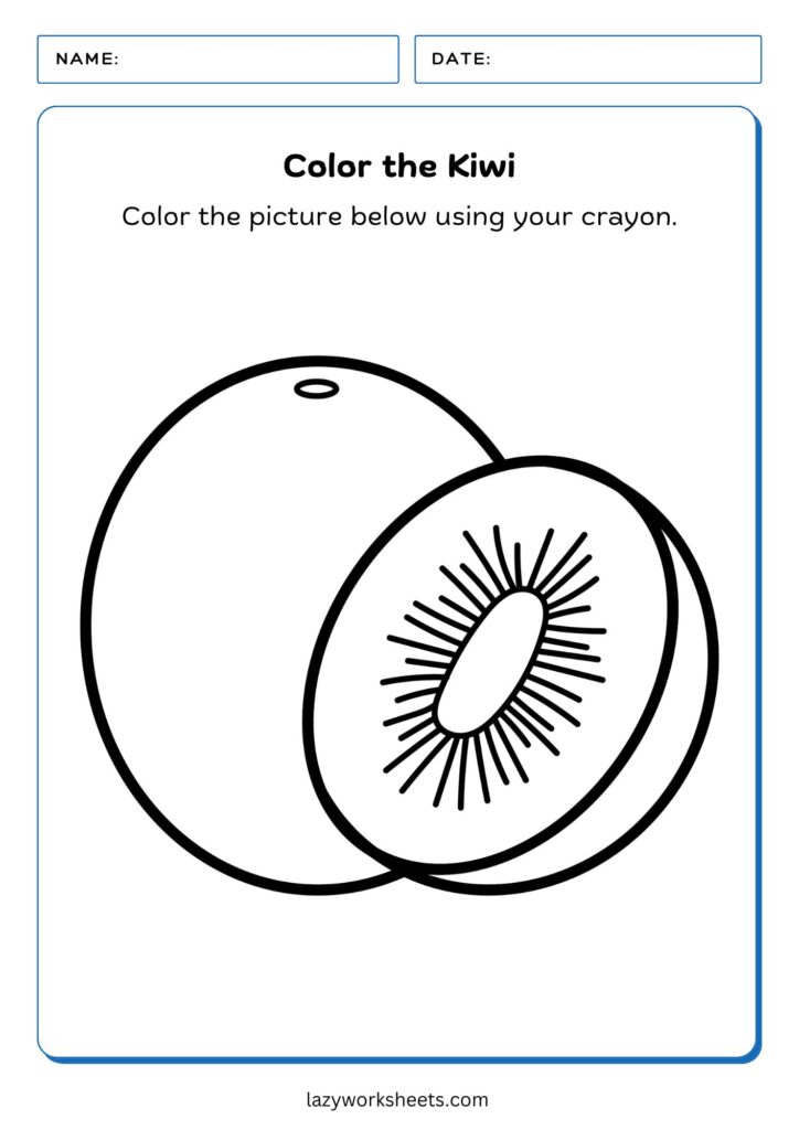 Color the Kiwi Worksheet - Lazy Worksheets