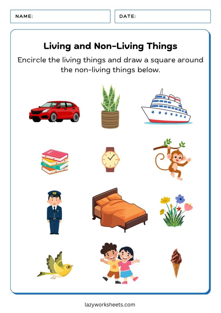 Living and Non-Living Things Worksheet 1 - Lazy Worksheets