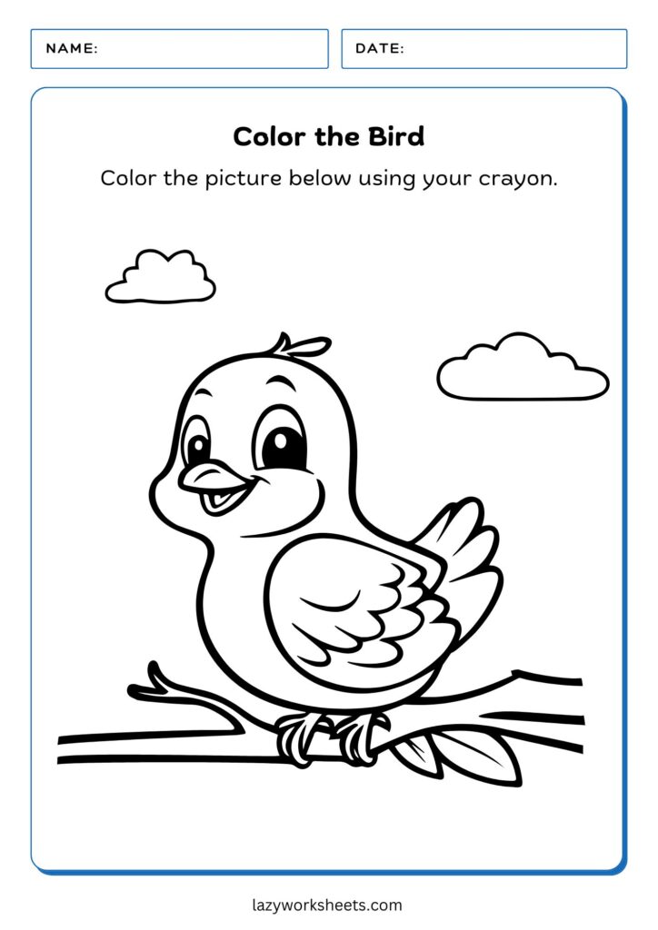Color the Bird Worksheet - Lazy Worksheets