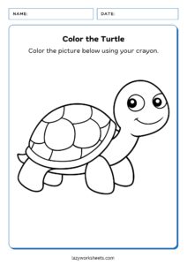 Color the Turtle Worksheet - Lazy Worksheets