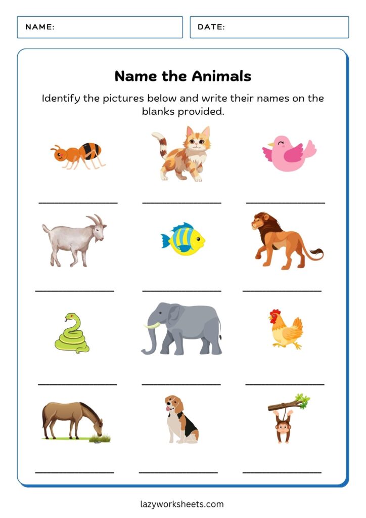 Name the Animals Worksheet - Lazy Worksheets
